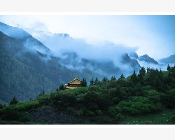 肝脏补血的中医智慧与实践