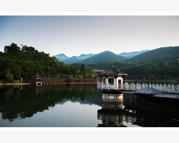 中医黄疸与脾胃：关联研究与治疗方法
