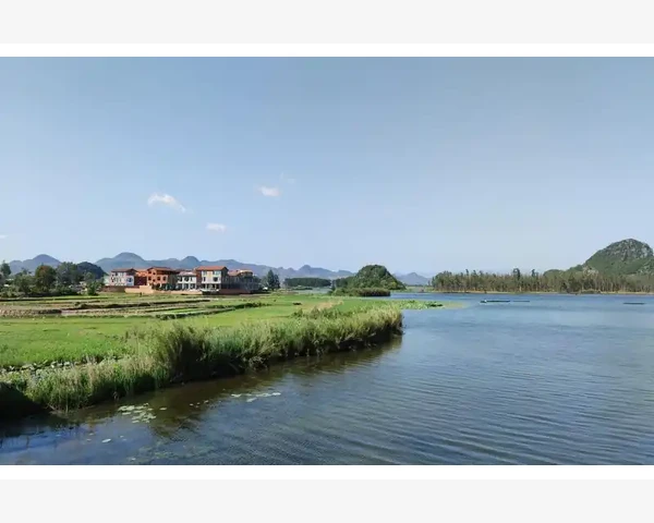 肝脏补血：探秘中医养生的秘密法宝